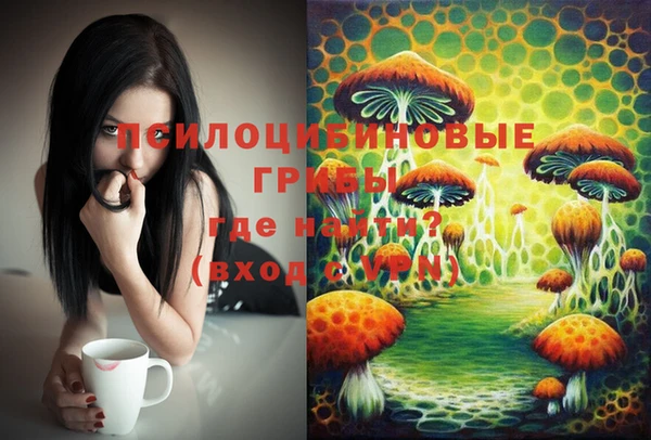 молекула духа Армянск