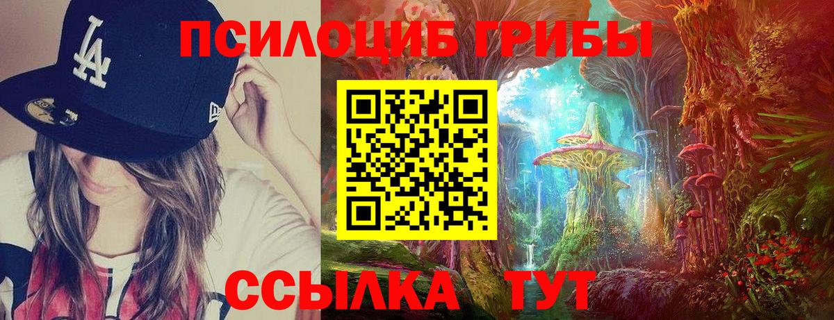 Псилоцибиновые грибы GOLDEN TEACHER  купить наркоту  Волхов  Вход с VPN  Галлюциногенные грибы GOLDEN TEACHER 